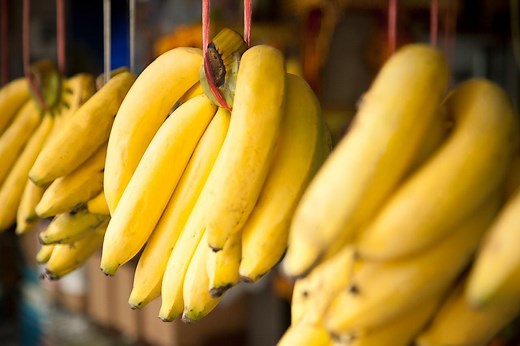 The Rich History of Bananas