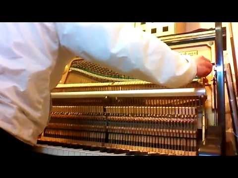 ピアノ調律師のピアノ分解掃除|兵庫・神戸・ピアノサロン