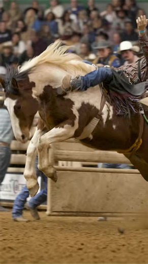 8.9K views · 248 reactions | What horse would you call lightning? ‼️Follow us for more action ‼️ | Gator Glass Productions | Facebook