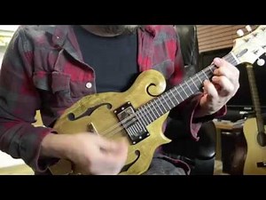 Electric Mandolin Demo