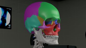 Ch1 Basic Sinus Anatomy