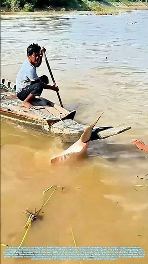 Hauling from the Depths: The River's Hidden Giant Revealed