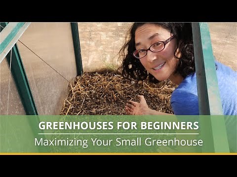 Greenhouse Gardening 101: A Beginner’s Guide
