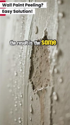 Wall Paint Peeling? Easy Solution! | Construction Solution