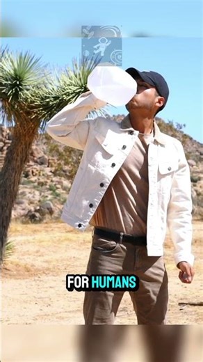 Hottest Planet in the Solar System: Mind-Blowing Venus Facts