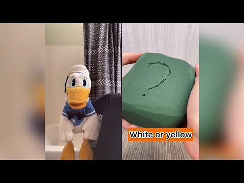 Donald Ducc Tik Toks That Will Make YOUR DAY! (DONT LAUGH CHALLENGE)