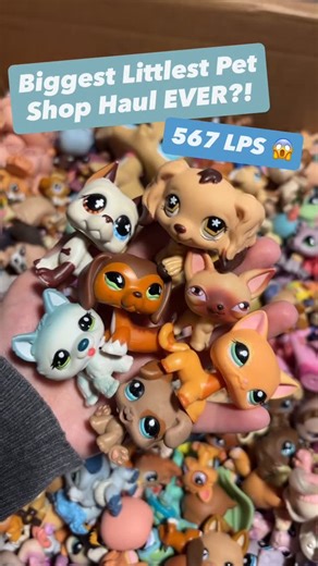 The Littlest Pet Shop Stop on Instagram: "So many dreamies in this package 🥰😍!! All these pets will be available soon 🤗!! Info and website link: 🐷 Littlest Pet Shop Toy Store 🐷 Frequent Restocks 🛍️ 🐷 International Shipping 📦 🐷 Based In the US 🇺🇸 🐷 Established in 2020 ✨ Link to store in bio or go to www.TheLittlestPetShopStop.com to shop 🐷🐷🐷🐷🐷🐷🐷🐷🐷🐷🐷🐷🐷🐷🐷 #thelittlestpetshopstop #LPS #LittlestPetShop #lpsforsale #LPSPhotography"
