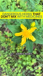 32K views · 269 reactions | WARNING: Some "Natural" Herbs Can Be...