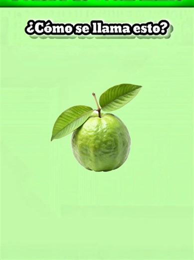 Spanish Vocabulary Test Challenge