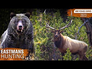 Grizzly Bear Stole My Giant Bull! Bow Hunting Elk | Beyond the Grid