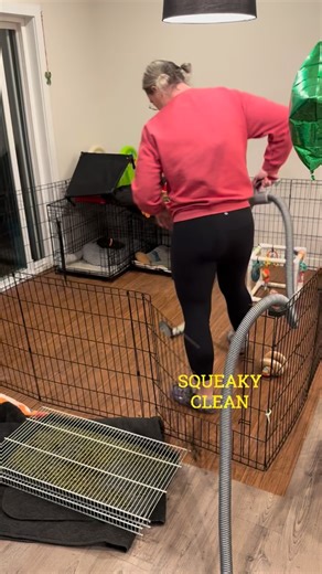 識 Breeder Skill #47: Extreme Deep Cleaning  I swear… breeders could...