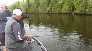 44 reactions · 3 comments |  The early-season smallmouth bite on...