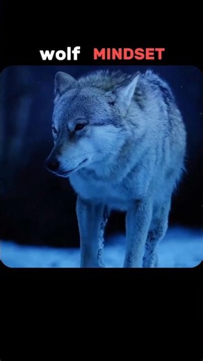 “Lone Wolf 🐺🔥 | Wolf Mindset”#short #shortfeed