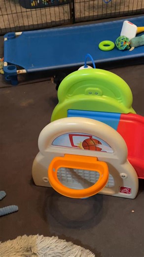 Just howling for the fun of it. #puppies #cavalierpuppies #cavalierkingcharlesspaniel #puppylove #Arkansas #cavalierkingcharles #cavalierkingcharlesspaniels #cavalier #bentonvillearkansas | Cavalier King Charles Spaniels, Bentonville, Arkansas