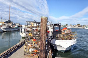 Crabbing Season in WA State - Hotspots, Commercial & Recreational 2025