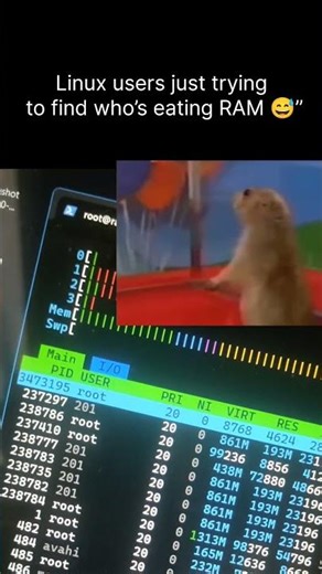 💻 Linux vs Windows: Memory Check Be Like 😱 #memes #funny