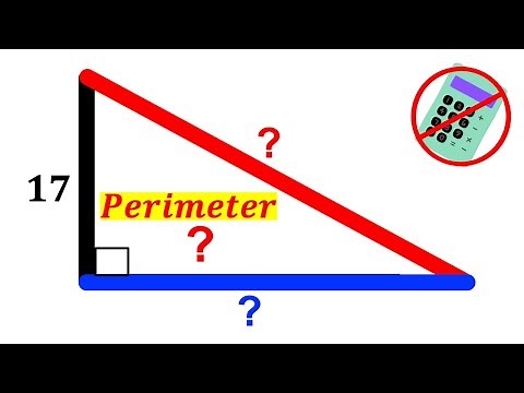 Can you find Perimeter of the triangle? | (Right Triangle) | #math #maths | #geometry