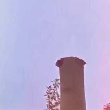 Every time I'm in the street I hear