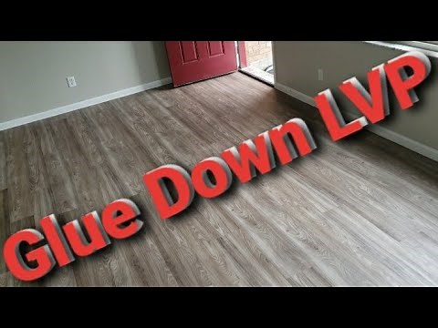 Glue Down LVP Flooring Installation
