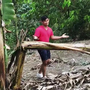 856K views · 10K reactions | What a joke! I think it funny when people kick banana trees. They are soft, we eat them in our mohinga noodle  soup. Don’t worry my grandmother will feed it to the banana tree to the pigs . ONE Championship I’m ready to defend my title. | Aung La Nsang(Burmese Python) | Facebook