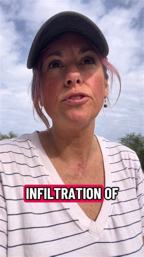 Commands 12/30/25 #command | dogs doing commands to any word in their tone