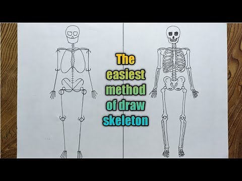 How to draw human skeleton step by step very easy method