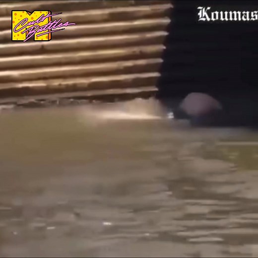 29K views · 575 reactions | Slayer - Angel Of Death (1986) | Cult Battles | Facebook