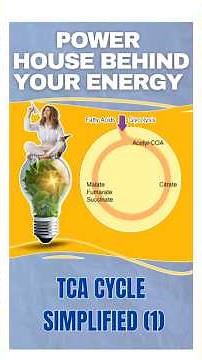 🔬 TCA Cycle Simplified | Easy Explanation for Students