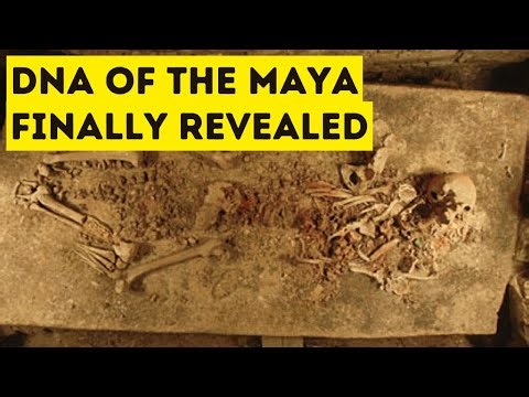 Ancient DNA Reveals Who the Maya Really Were — And Why They Collapsed