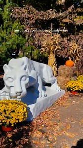 We’ve really embraced how beautiful our campus looks in the fall! 🍂💙🤍 | Penn State Brandywine