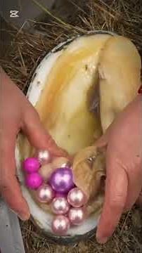 The pearls #pearl #pearlhunter #culturedgemstones #satisfying #pearlflower #culturedpearls