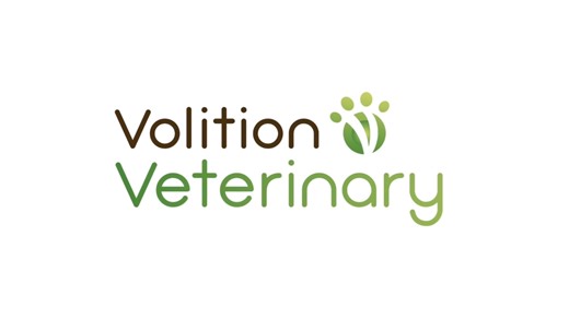 Highlights from the London Vet Show 2022
