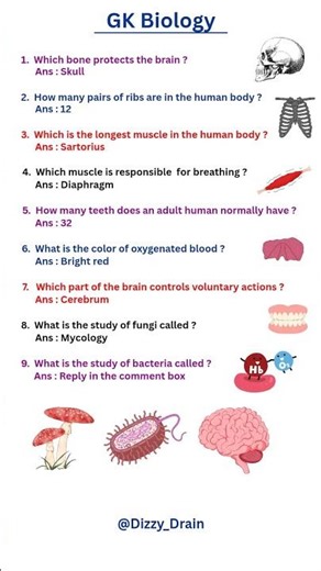 General Knowledge | Quetions and Answers GK | Education learning