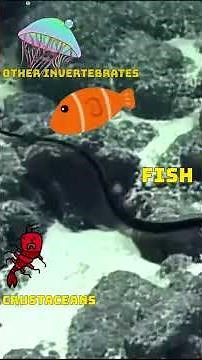 FISH with 10x BIGGER MOUTH than a body - The PELICAN EEL! #shorts