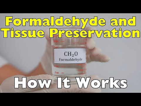How Does Formaldehyde Preserve Organic Tissues?