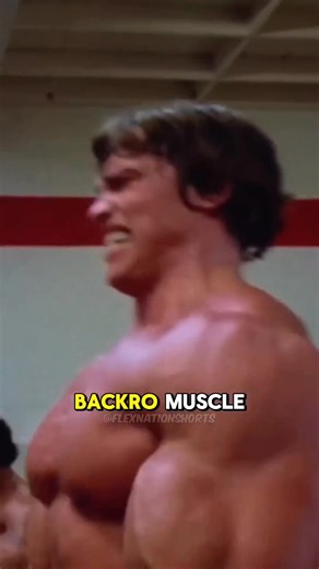 143K views · 4.5K reactions | Arnold's Blueprint : Essential Exercises To Sculpt Your Dream Body  #arnold #schwarzenegger #arnoldbodybuilding #arnoldsports #gymmotivation #arnoldclassic #workoutmotivation #arnoldnation #gym #bodybuildingmotivation #bodybuilding #arnoldsportsfestival #fitnessmotivation #aestheticsmotivation #aesthetic #fitness Gymvision Motivation | Gymvision Motivation | Facebook