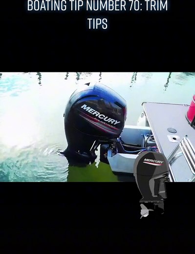 Bridge Marina on TikTok