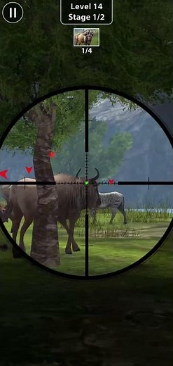 Animal Shooting: Jungle Hunter | Android Gameplay | Hunting Gameplay |