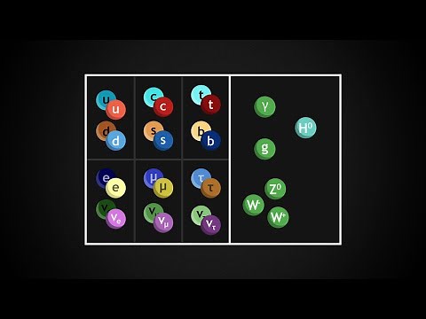 The Standard Model