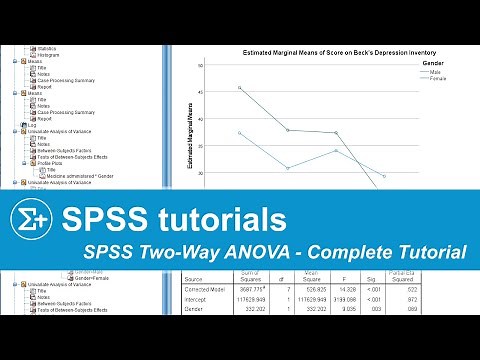 Two-Way ANOVA in SPSS - Complete Tutorial