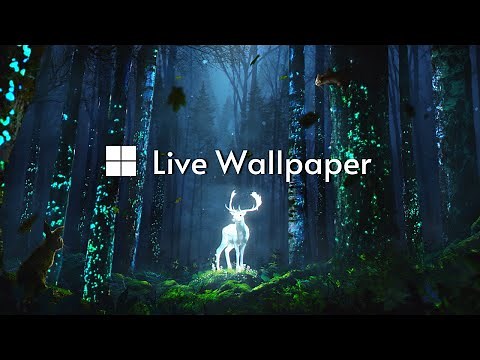 How to SET Live Wallpaper in Windows 11/10 (2025)