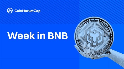 BNB Chain News: From Market Meltdown to Meme Coin Rescue