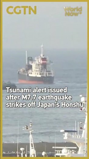 Tsunami alert issued after M7.7 earthquake strikes off Japan's Honshu #worldnow