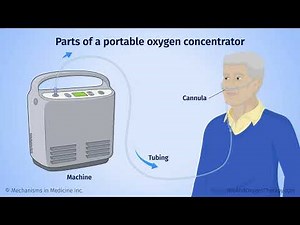 Using Your Portable Oxygen Concentrator | Guide to Oxygen Therapy on the Go