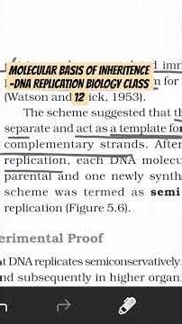 MOLECULAR BASIS OF INHERITENCE -DNA REPLICATION BIOLOGY CLASS 12 #ncert #cbse12thbiology #uppsc