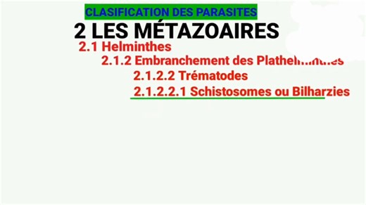 4.2K views · 124 reactions | classification des parasites: les protozoaires | Biologies médicales | Facebook