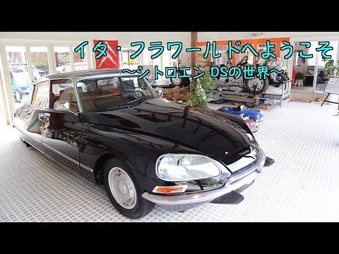 イタ・フラワールドの世界-シトロエン DS-編(ロング版)