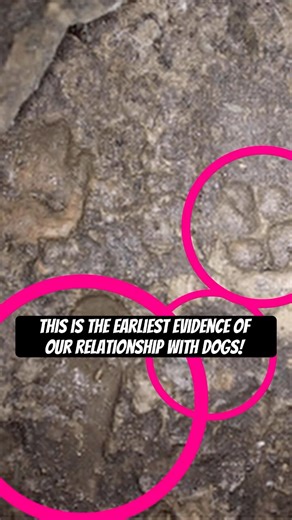 These Footprints Prove our Relationship with Dogs is Older than we Thought!