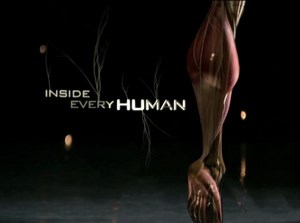 Inside the Human Body