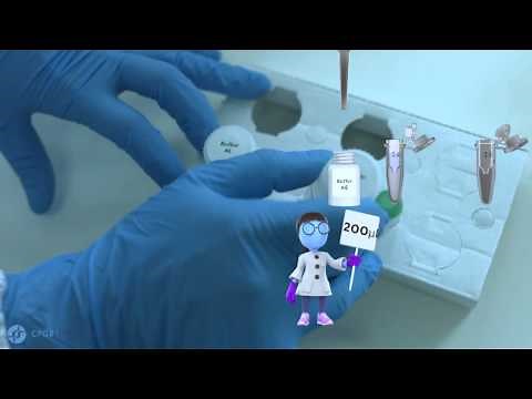 DNA extraction from Blood